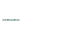 Pakistani Aura